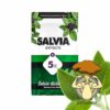 Salvia Divinorum Live Plant | Where To Buy Salvia Divinorum